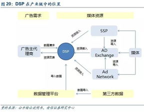 公司深度 新數網絡（834990.OC）——DSP技術領導者，全球服務搭生態技術服務