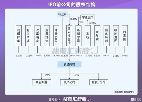 新通藥物沖刺科創板 尚未盈利的創新藥企，授權與合作開發模式下的機遇與挑戰